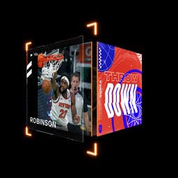 Mitchell Robinson Rim