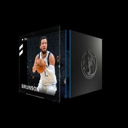 Jalen Brunson 3 Pointer