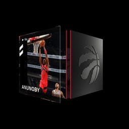 OG Anunoby Handles