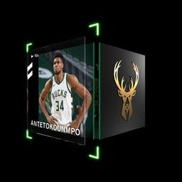 Giannis Antetokounmpo Rim