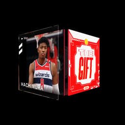 Rui Hachimura Rim