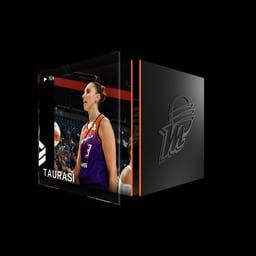 Diana Taurasi Block