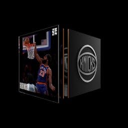 Mitchell Robinson Rim