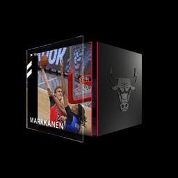 Lauri Markkanen Rim