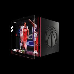 Daniel Gafford Rim