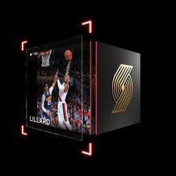 Damian Lillard Rim