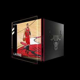 Zach LaVine Rim