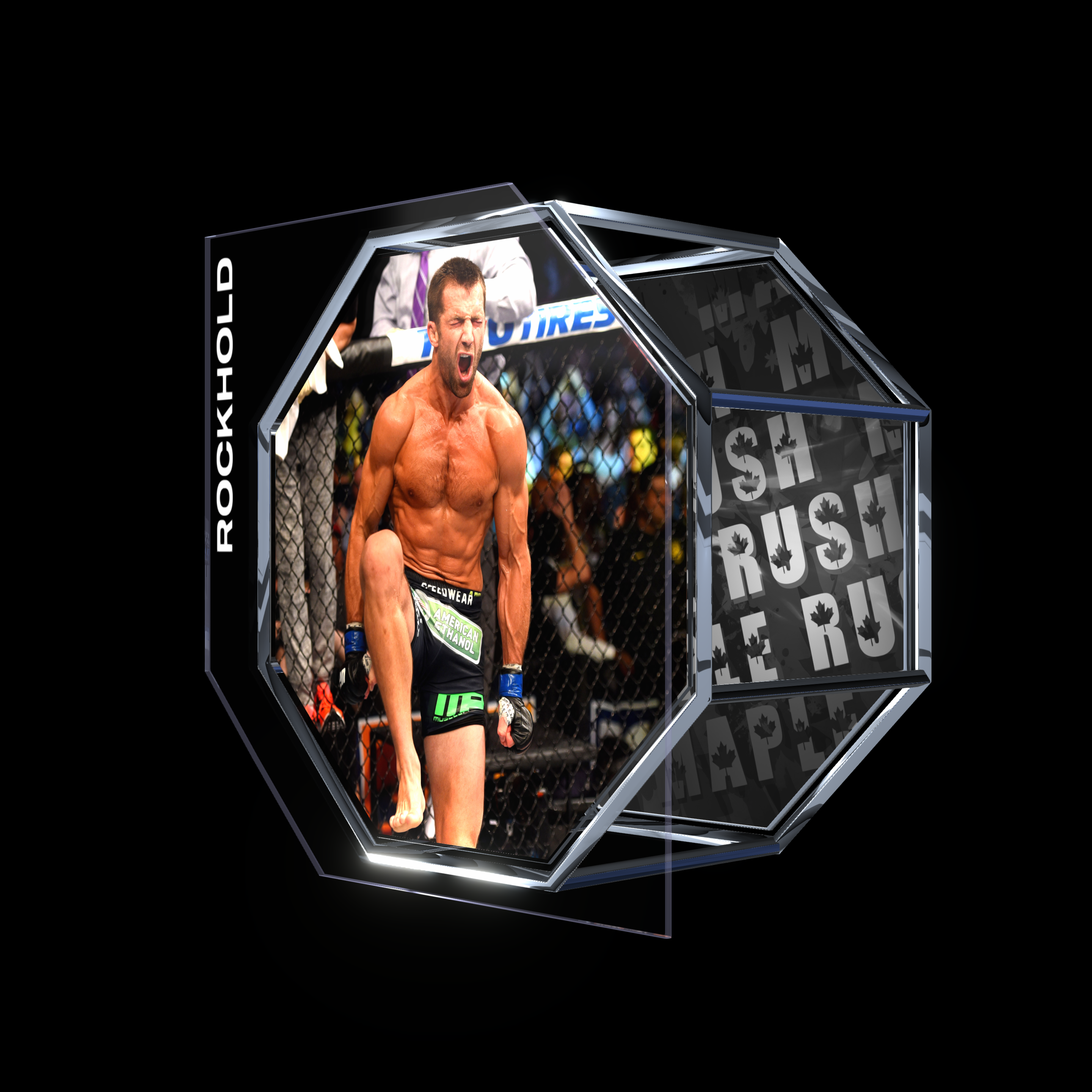 LUKE ROCKHOLD | UFC FIGHT NIGHT APR 18, 2015 | SUBMISSION