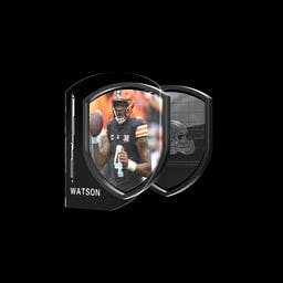 Deshaun Watson Pass