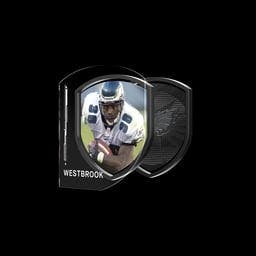 Brian Westbrook Rush