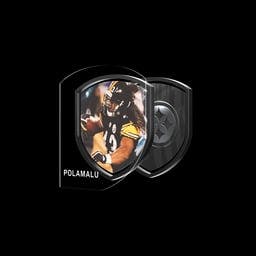 Troy Polamalu Interception