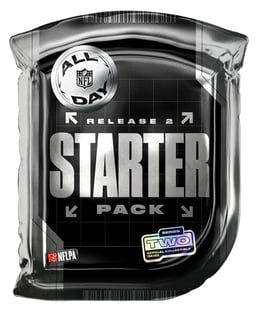 NFL All Day Pack