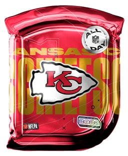 NFL All Day Pack