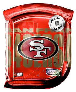 NFL All Day Pack