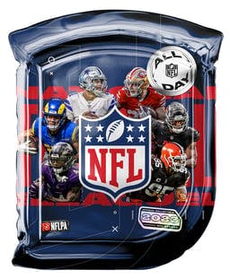 NFL All Day Pack