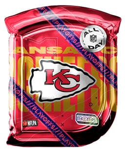 NFL All Day Pack