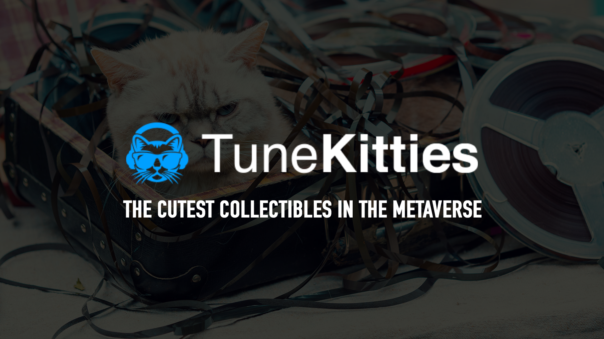 TuneKitties